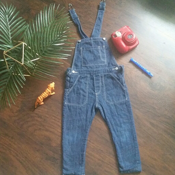 Zara Other - Zara Lined Denim Overalls